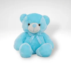 Ours en peluche qui s'illumine