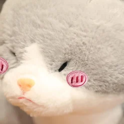 Peluche chat croisé avec un requin