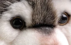 Peluche loup petit et mignon